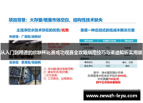 从入门到精通的欧联杯比赛成功观赛全攻略指南技巧与渠道解析实用版