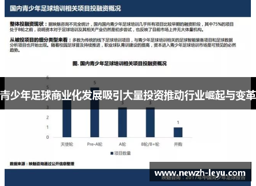 青少年足球商业化发展吸引大量投资推动行业崛起与变革
